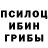 Галлюциногенные грибы Magic Shrooms Tolik Gashok