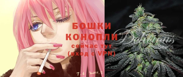 гидропоника Кукмор